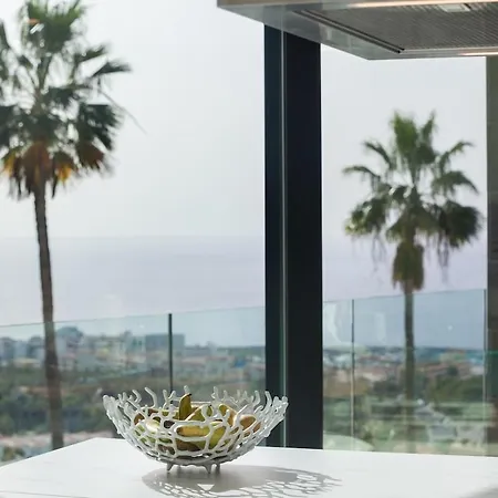 D With Priv, Heated Pool, Ocean View The View Tenerife 别墅 阿德耶